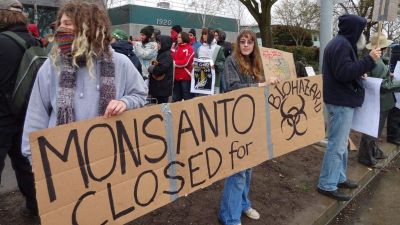 Új francia ítélet mondja ki: a Monsanto felel egy farmer egészségkárosodásáért