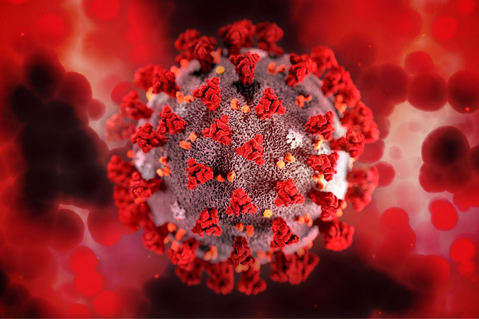 A koronavírus közelről. A legtöbb vakcina a vírus tüskefehérjéje ellen fejti ki a hatását, hogy ne tudjon csatlakozni a sejtekhez.