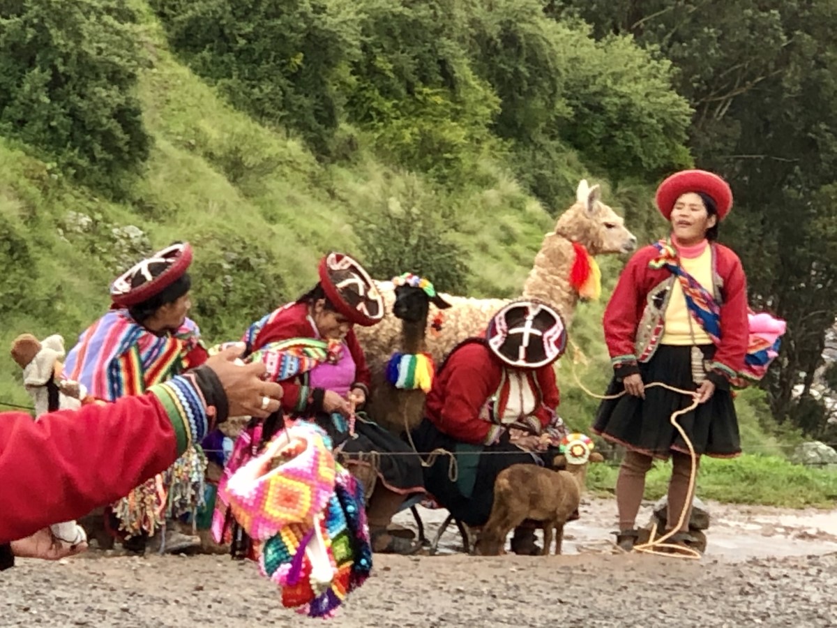 Kecsuák – az egyik magashegyi indián törzs tagjai – a kedvenc andoki állatainkkal. Párosujjú patások, tevefélék, a lámák és az alpakák domesztikáltak, vadonélő alakjaik a guanakók és a bikunyák.