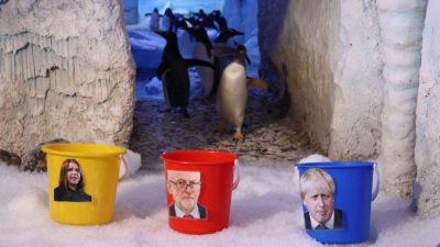 A gendersemleges pingvin szerint a Munkáspárt nyeri a brit választást. És szerinted?