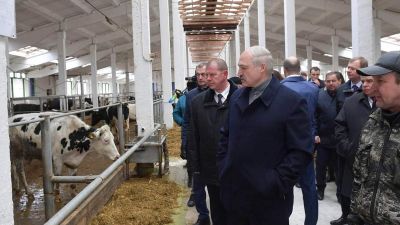 Auschwitzhoz hasonlított egy tehéntelepet a belorusz elnök