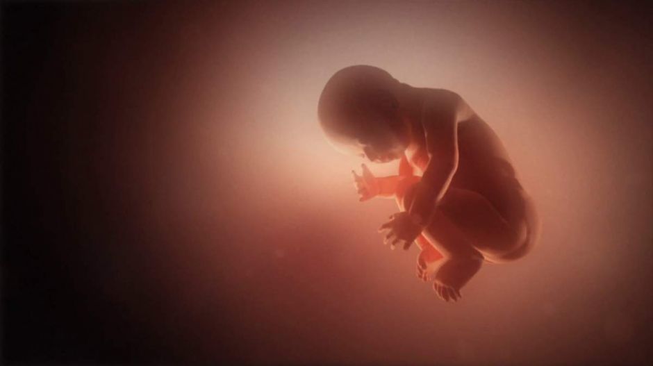 Most épp az abortuszról terjed hülyeség a magyar közösségi médiában