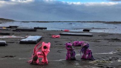 Szemétkatasztrófa sújtja a holland partokat