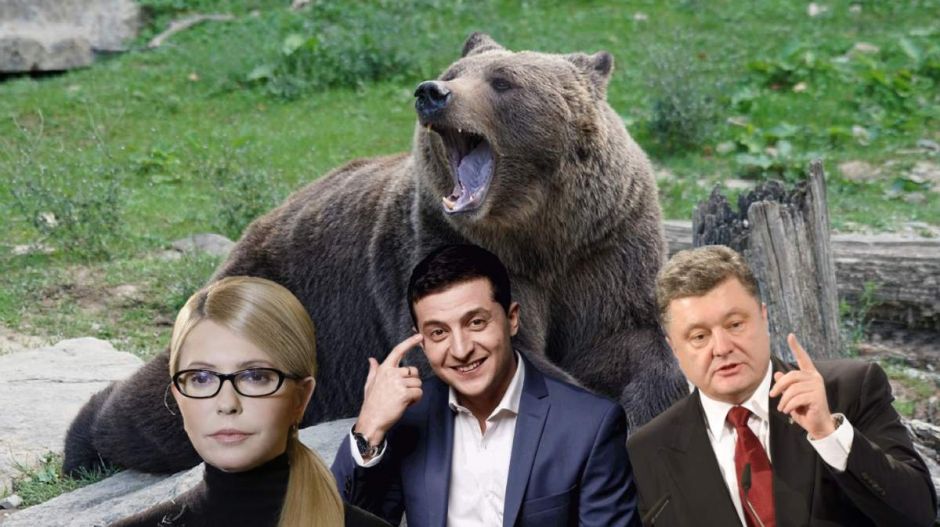 Kire szavazna az ukrán elnökválasztáson egy orosz állatkert medvéje?