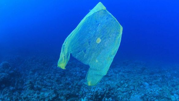 Ötvenszer annyi műanyagszemét lehet az óceánok mélyén, mint a felszínen