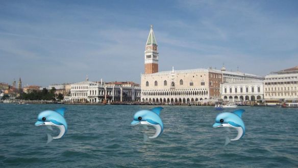 Tavaly álhír volt, idén valóság: delfinek úsztak Velencében