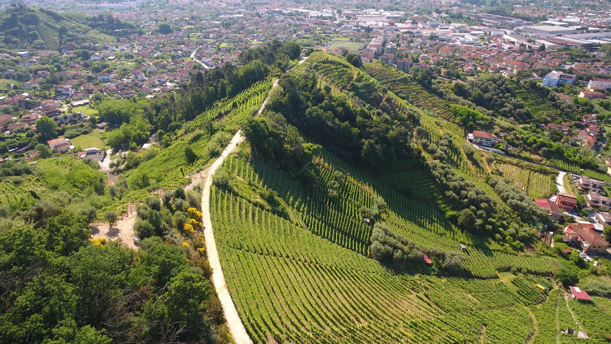 Toszkána legészakibb részén, Liguria határán, Massa és Carrara környékén van egy magát a toszkán viticoltura eroicaként meghatározó apelláció, a Candia DOC.