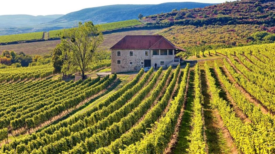 Kickstarteren gyűjtenek, hogy híresebbek legyenek a magyar borok