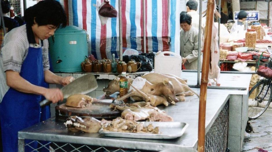 Hiába a járványveszély, nem marad el a kínai kutyahúsfesztivál