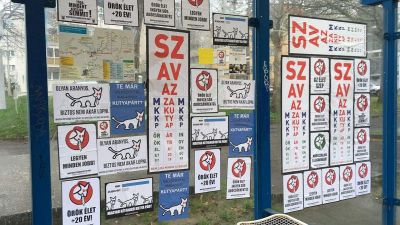 Teljes buszmegállót dekoráltak ki a kétfarkúak Pécsen