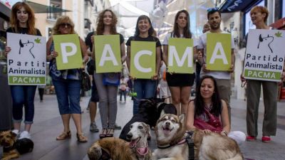 Egy radikális állatvédő, vegán párt okozhat felfordulást Spanyolországban