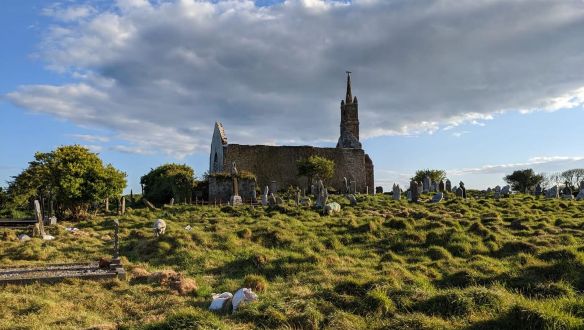 Kecskéket és juhokat is bevetnek Írországban elfeledett sírok feltáráshoz