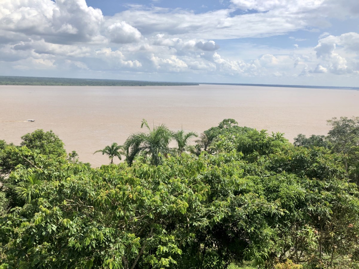 Amazónia Iquitos közelében. Találkozásom a végtelennel. A jellegzetesen barna víz maga az Amazonas. Máncora és Iquitos a két kedvenc helyem Peruban. Aztán Miraflores, Barranco és Arequipa.