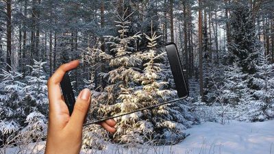 Karácsonyfa olcsón, fenntarthatóan és okosan? Van ilyen, csak nem nálunk