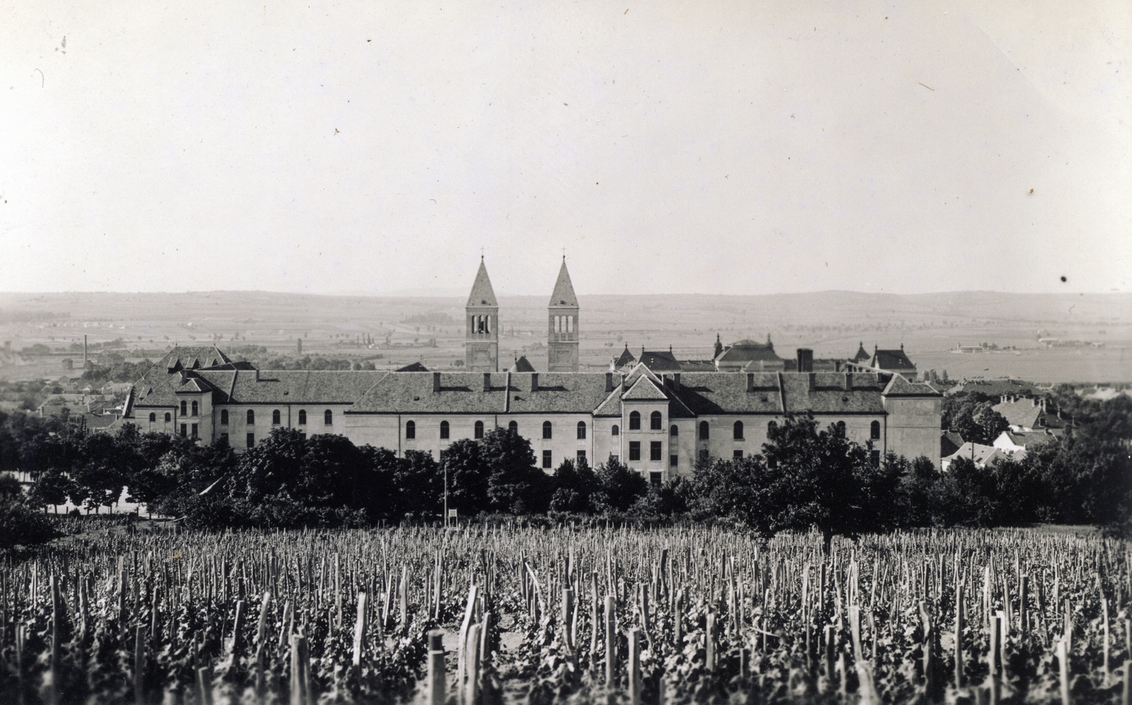 A pécsi jezsuita Pius gimnázium és internátus (ma Pécsi Tudományegyetem) épülete és a Jézus Szíve (Pius) templom tornyai 1933-ban. Az előtérben: szőlő.
