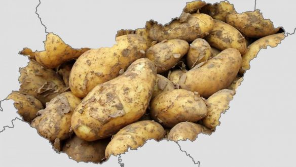 Magyarországon megbukott a krumplikrácia