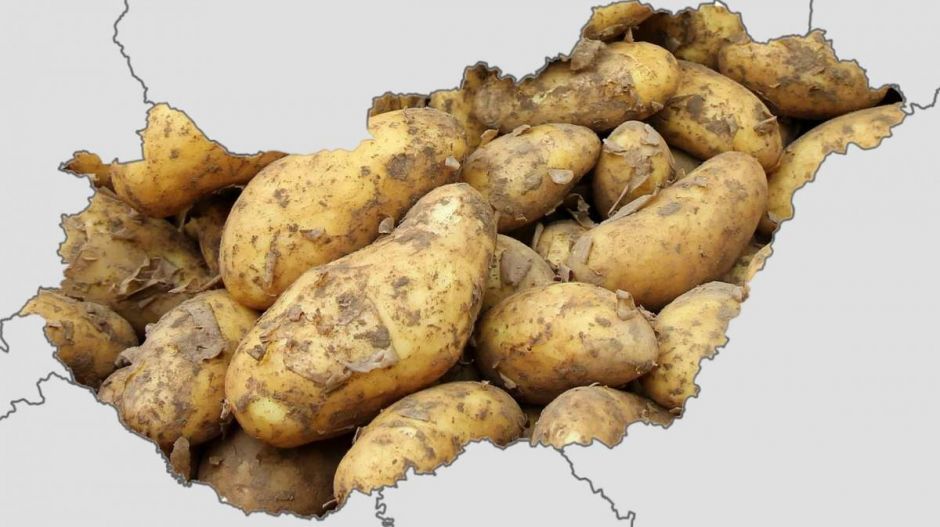 Magyarországon megbukott a krumplikrácia